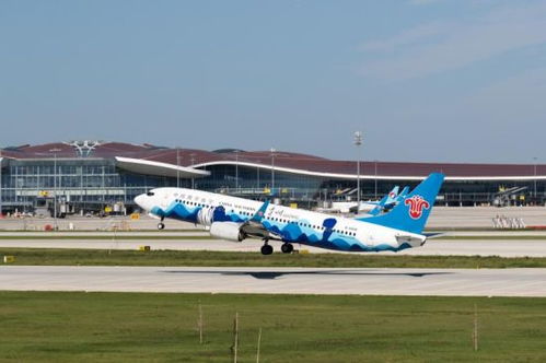 新航季南航哈爾濱至北京航班全面轉場大興機場，民用機場運營格局再優化